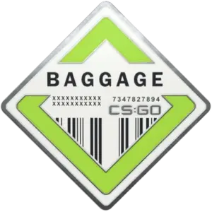 Baggage Pin