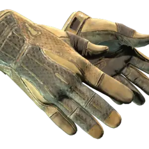 ★ Sport Gloves | Arid (Battle-Scarred)