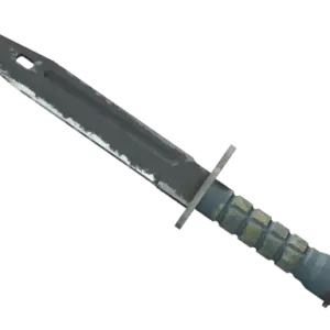 ★ Bayonet | Night (Well-Worn)
