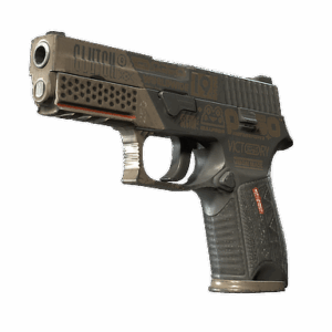 P250 | Bullfrog (Well-Worn)