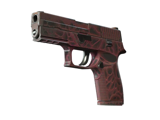 P250 | Contaminant (Well-Worn)