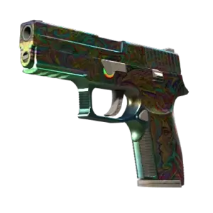 P250 | Visions (Field-Tested)