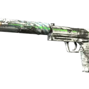 Souvenir USP-S | Road Rash (Minimal Wear)