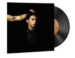 StatTrak™ Music Kit | PVRIS, Evergreen