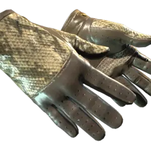 ★ Driver Gloves | Diamondback (Field-Tested)