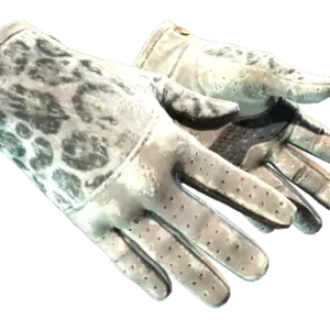 ★ Driver Gloves | Snow Leopard (Battle-Scarred)