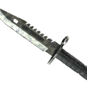 ★ M9 Bayonet | Stained (Battle-Scarred)