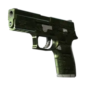 P250 | Iron Clad (Minimal Wear)