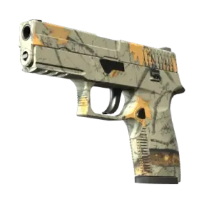 P250 | Modern Hunter (Minimal Wear)