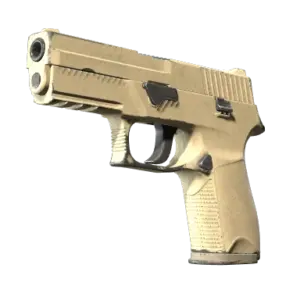 P250 | Sand Dune (Well-Worn)