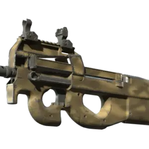 P90 | Sand Spray (Well-Worn)