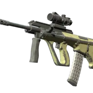 Souvenir AUG | Colony (Battle-Scarred)