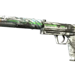 Souvenir USP-S | Road Rash (Field-Tested)