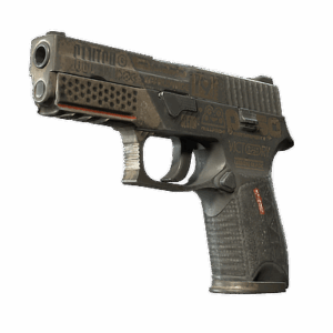StatTrak™ P250 | Bullfrog (Battle-Scarred)