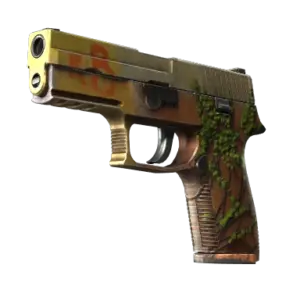 StatTrak™ P250 | Inferno (Field-Tested)