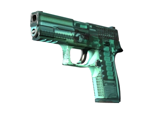 StatTrak™ P250 | X-Ray (Field-Tested)