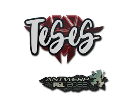 Sticker | TeSeS | Antwerp 2022