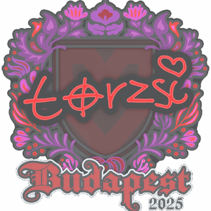 Sticker | torzsi | Budapest 2025