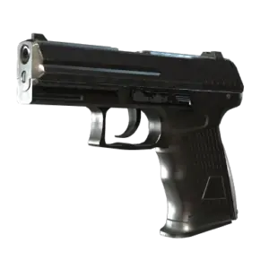 P2000 | Panther Camo (Minimal Wear)