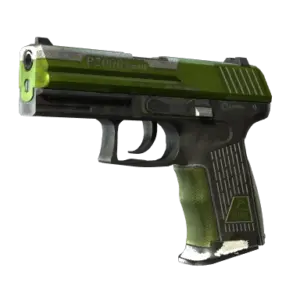 P2000 | Turf (Battle-Scarred)