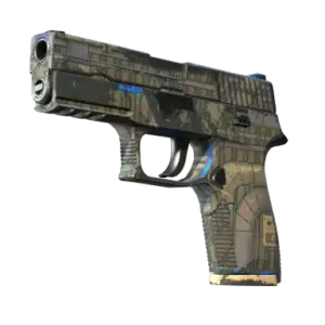 P250 | Exchanger (Field-Tested)