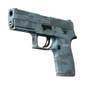 P250 | Forest Night (Factory New)