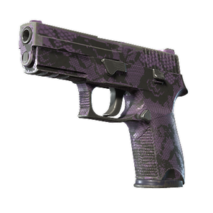 P250 | Plum Netting (Well-Worn)