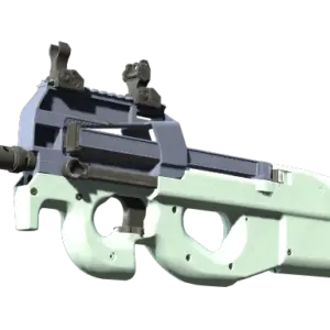 P90 | Storm (Factory New)