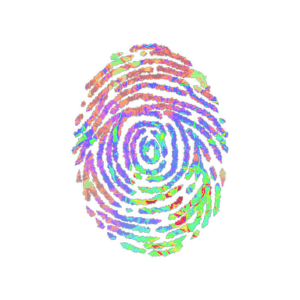 Sticker | Evidence (Holo)