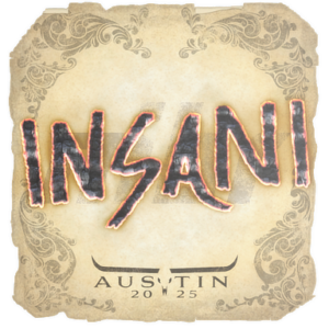 Sticker | insani | Austin 2025