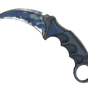 ★ StatTrak™ Karambit | Bright Water (Battle-Scarred)