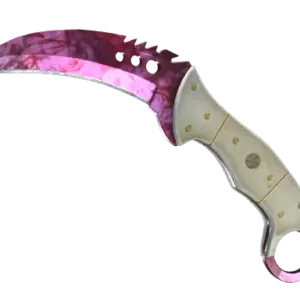 ★ StatTrak™ Talon Knife | Doppler Phase 2 (Factory New)