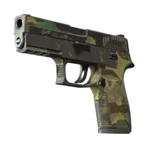 P250 | Boreal Forest (Battle-Scarred)