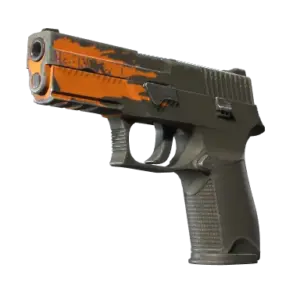 P250 | Splash (Field-Tested)