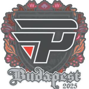 Sticker | paiN Gaming | Budapest 2025