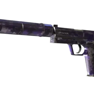 USP-S | Purple DDPAT (Well-Worn)