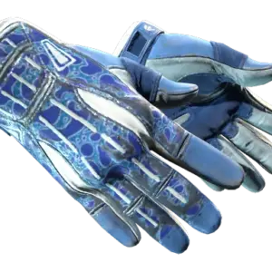 ★ Sport Gloves | Amphibious (Well-Worn)