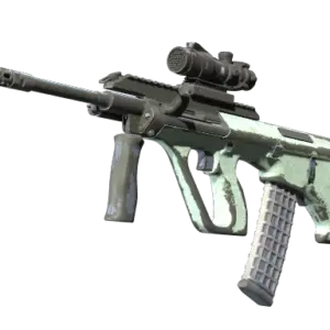 Souvenir AUG | Storm (Battle-Scarred)