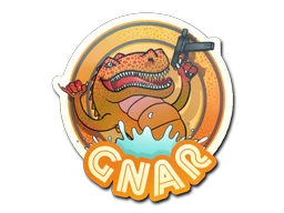 Sticker | Orange Gnar