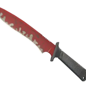 ★ StatTrak™ Classic Knife | Crimson Web (Well-Worn)