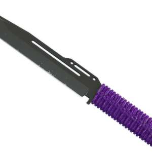 ★ StatTrak™ Paracord Knife | Ultraviolet (Field-Tested)