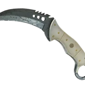 ★ StatTrak™ Talon Knife | Damascus Steel (Battle-Scarred)