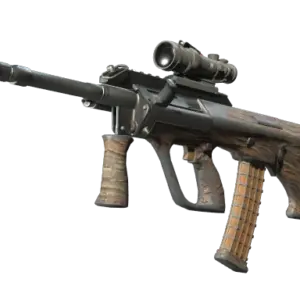 Souvenir AUG | Spalted Wood (Field-Tested)