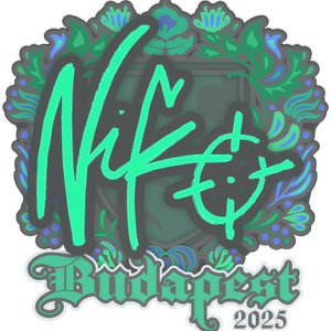 Sticker | NiKo | Budapest 2025