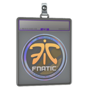 Sticker Slab | Fnatic (Holo) | Cologne 2014