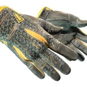 ★ Sport Gloves | Omega (Well-Worn)