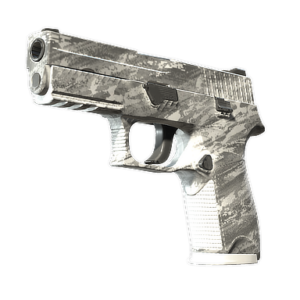 P250 | Sleet (Minimal Wear)