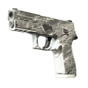 P250 | Sleet (Well-Worn)