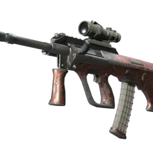 Souvenir AUG | Random Access (Well-Worn)