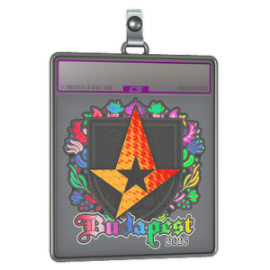 Sticker Slab | Astralis (Holo) | Budapest 2025